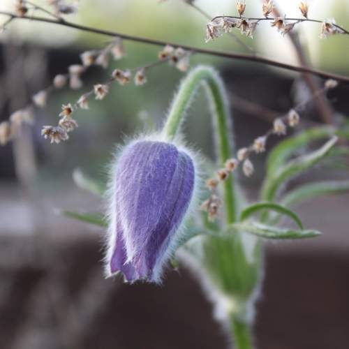 Photo #9512252