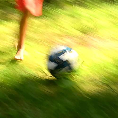 Photo #9512682