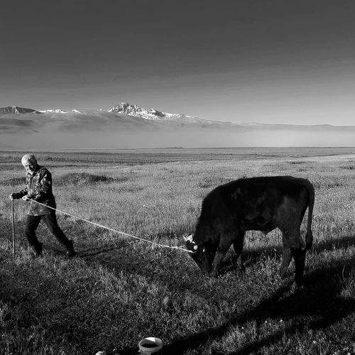 Photo #9512732