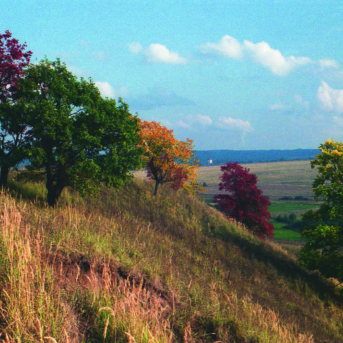 Photo #9513094
