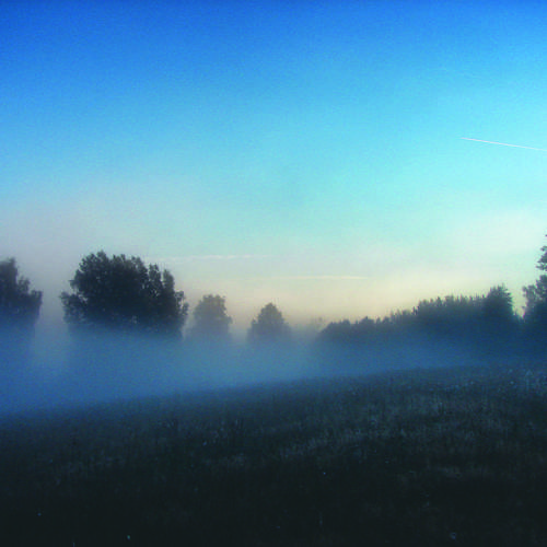 Photo #9513113