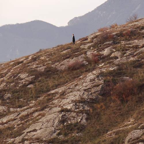 Photo #9513140