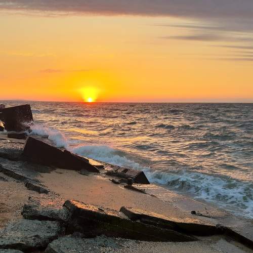 Photo #9513178