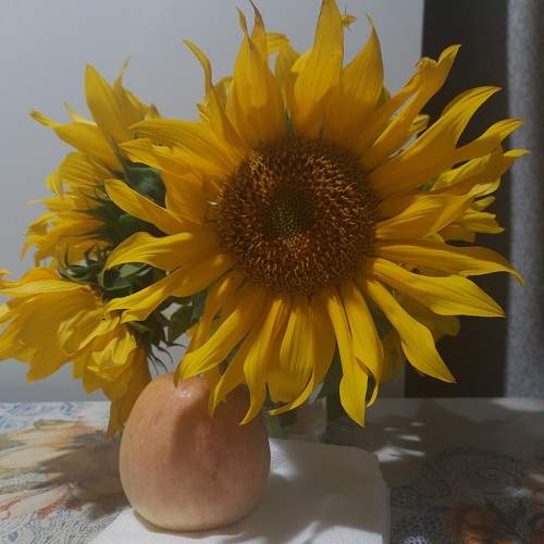 Photo #9513374