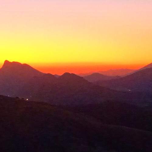 Photo #9513582