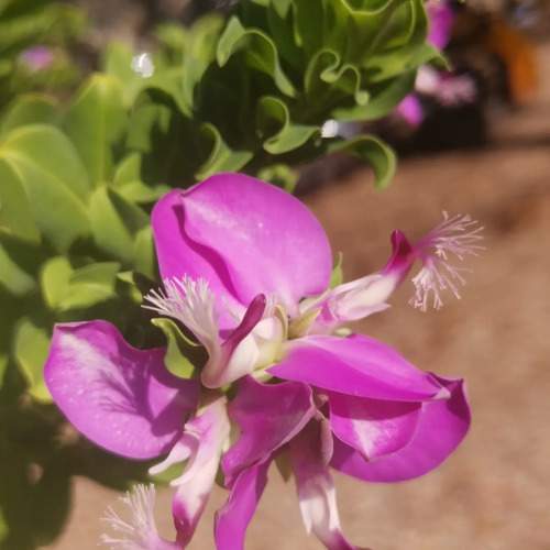 Photo #9513718