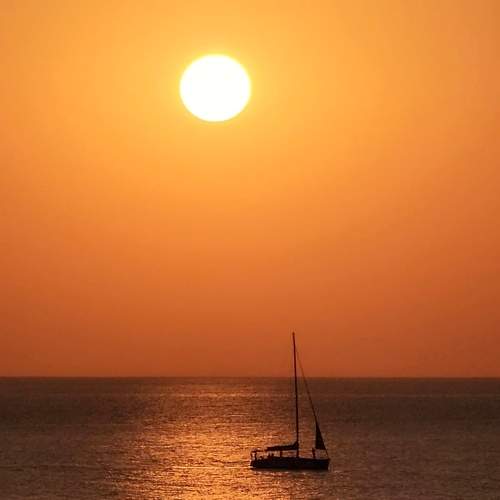 Photo #9513763