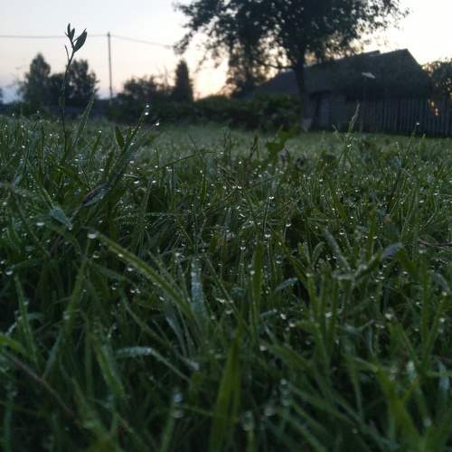 Photo #9513873
