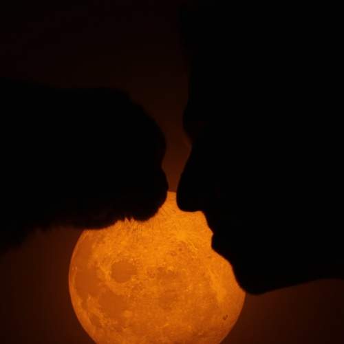 Photo #9514452