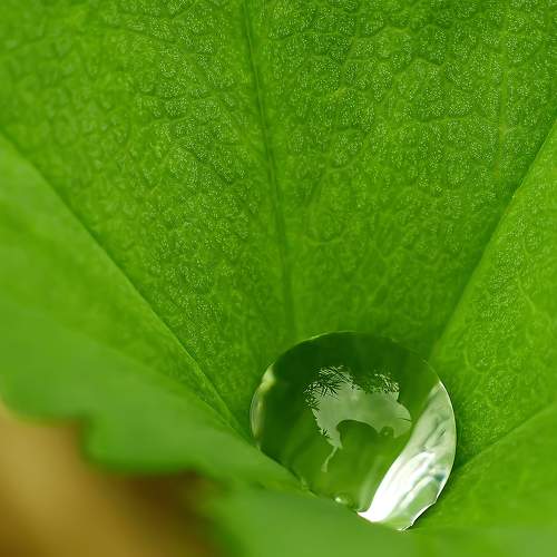 Photo #9514531