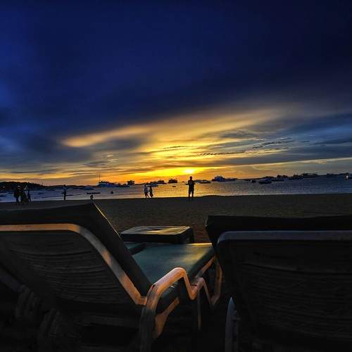Photo #9514571