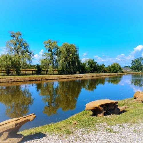 Photo #9514574