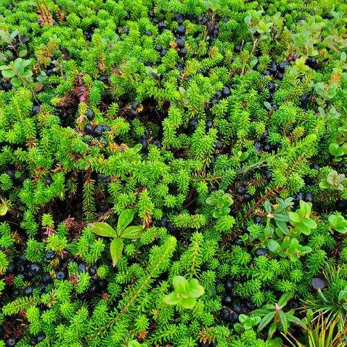 Photo #9514699