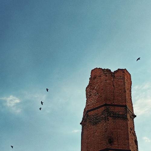 Photo #9515377