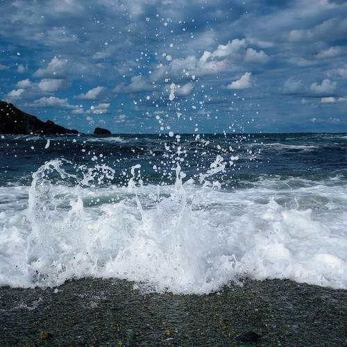 Photo #9515397