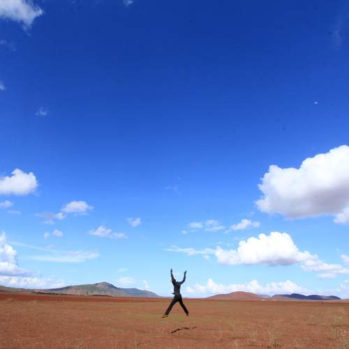 Photo #9515417