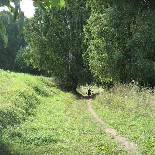 Photo #9515958