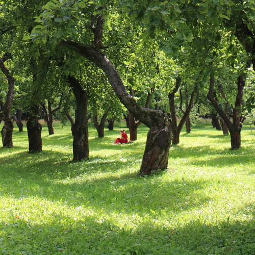 Photo #9515959