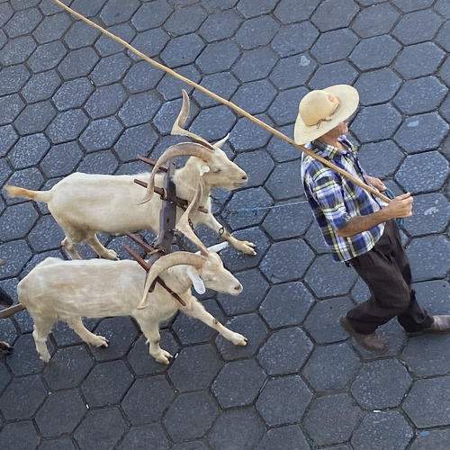 Photo #9515977