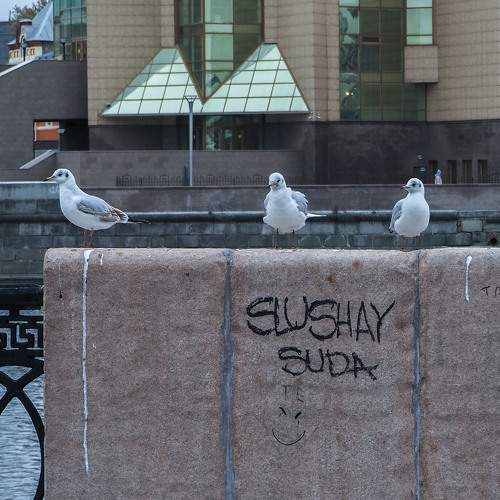 Photo #9516276