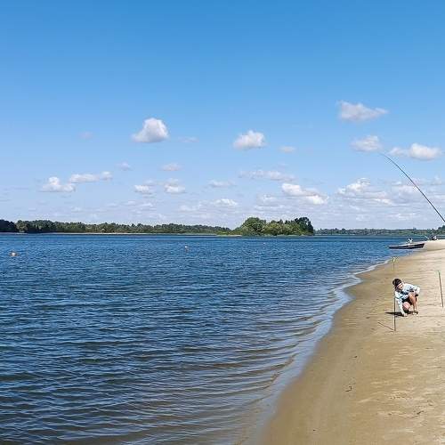 Photo #9516738