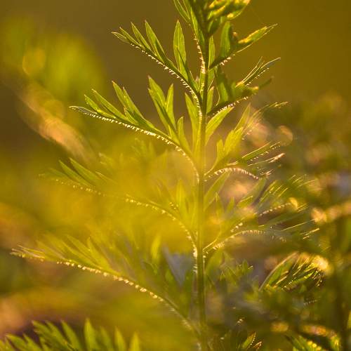 Photo #9517233