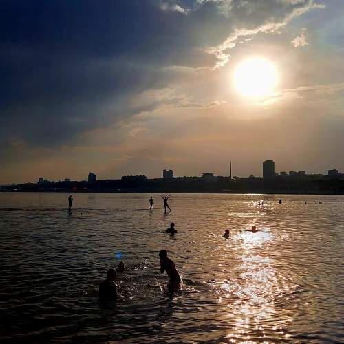 Photo #9517460