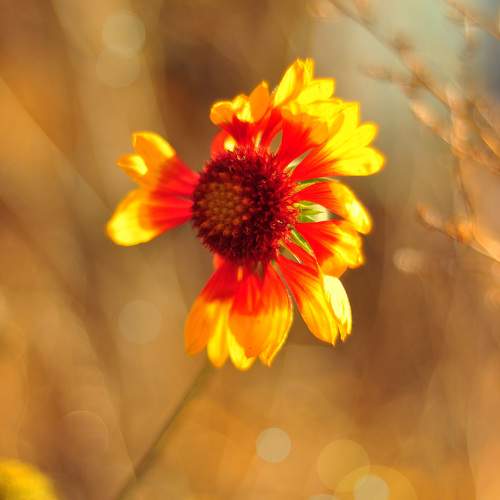 Photo #9517515