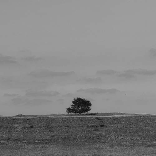 Photo #9517795