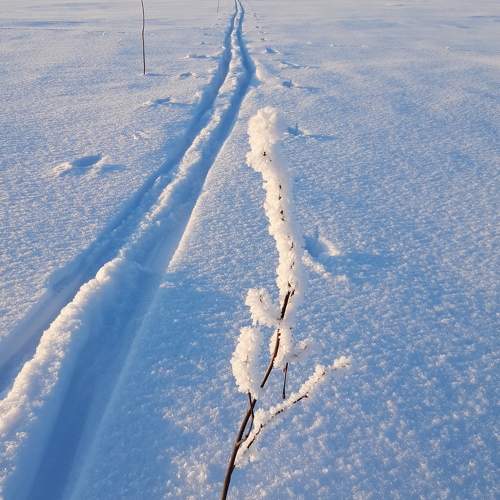 Photo #9518028