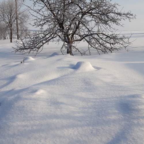 Новое покрывало сверху