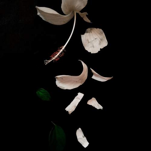 Photo #9518161