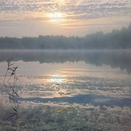Photo #9518420