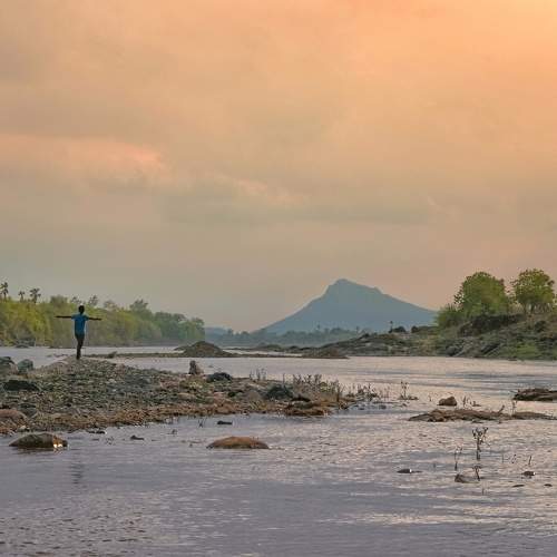 Photo #9518677