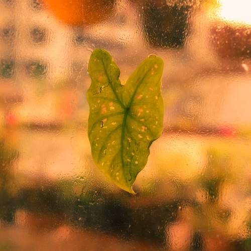 Photo #9518836