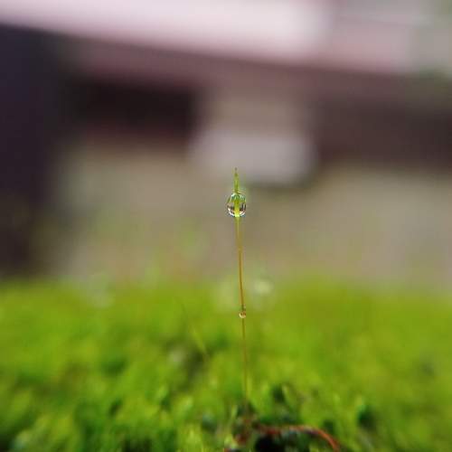 Photo #9519314