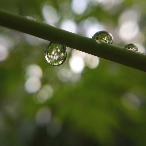 Photo #9519326