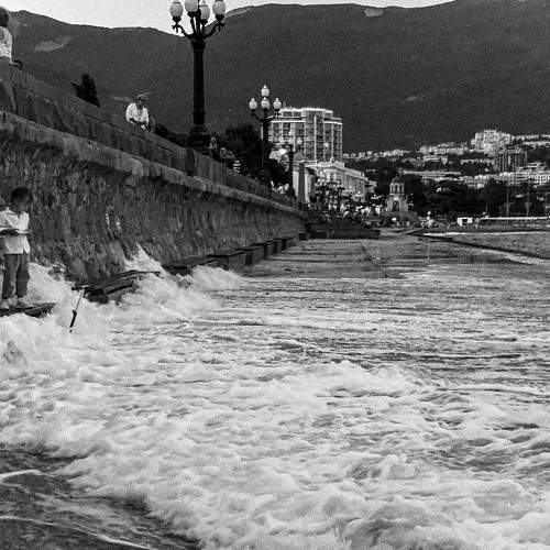 Photo #9519340