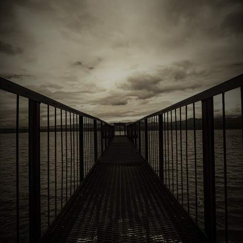 Photo #9519546