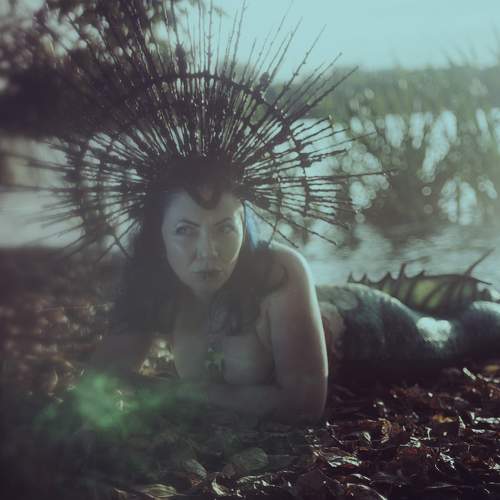 Photo #9519584