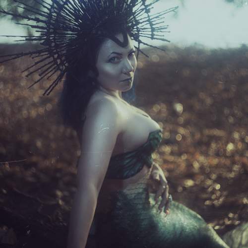 Photo #9519596
