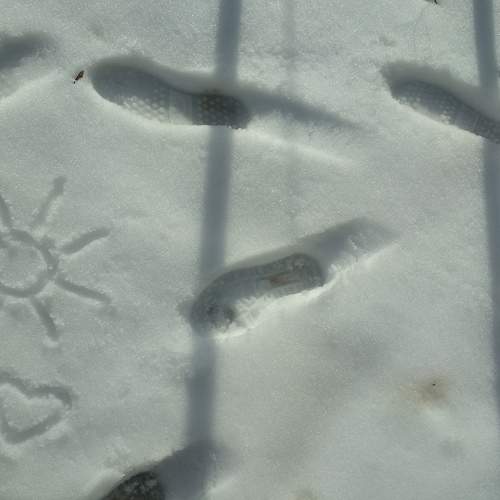 Photo #9519631