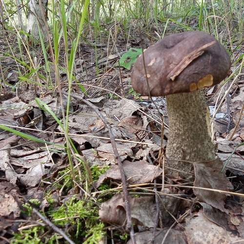 Photo #9519679