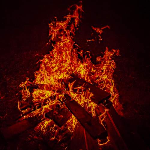 Photo #9519748