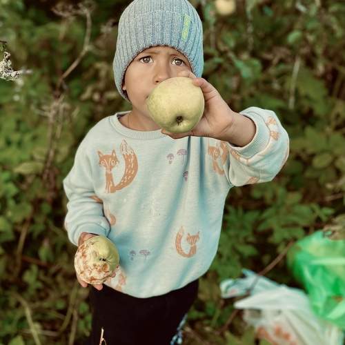 Photo #9520334