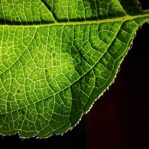 Photo #9520517