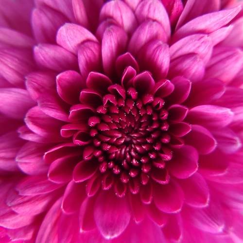 Photo #9520518