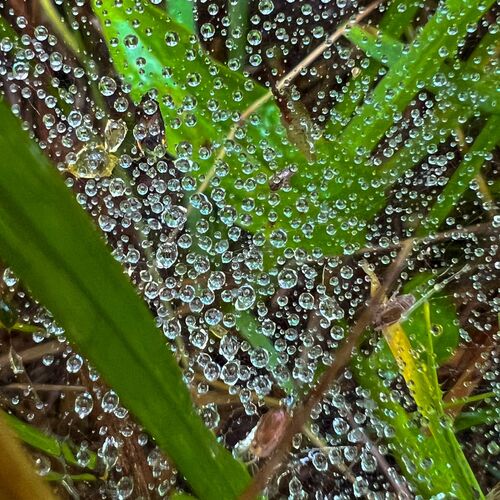 Photo #9520933