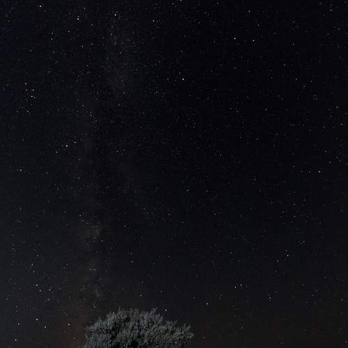 Photo #9521683