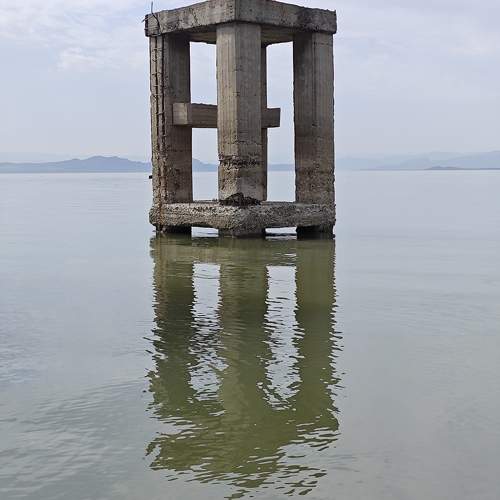 Photo #9521689
